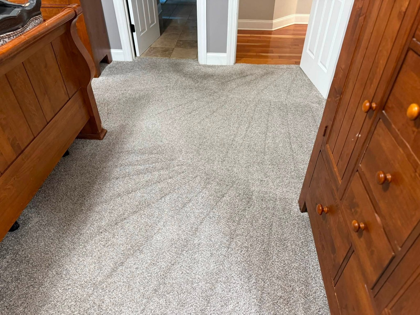 Living room carpet — pet stain removal