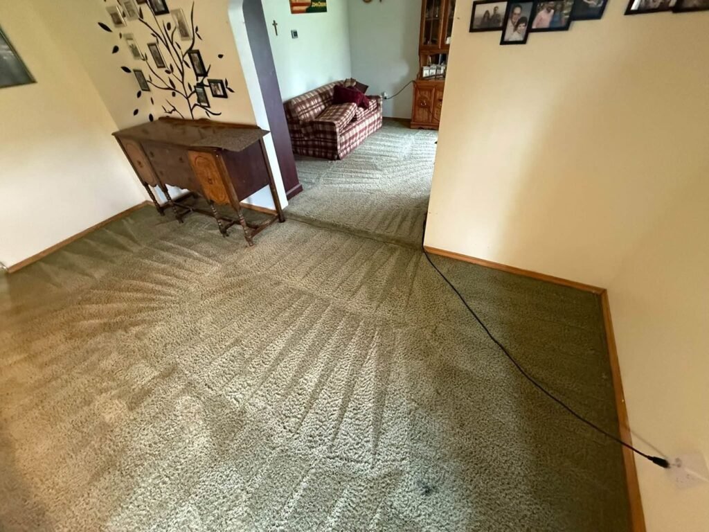 Living room & hallway carpet cleaning by Elite Carpet Pros in Marietta, OH